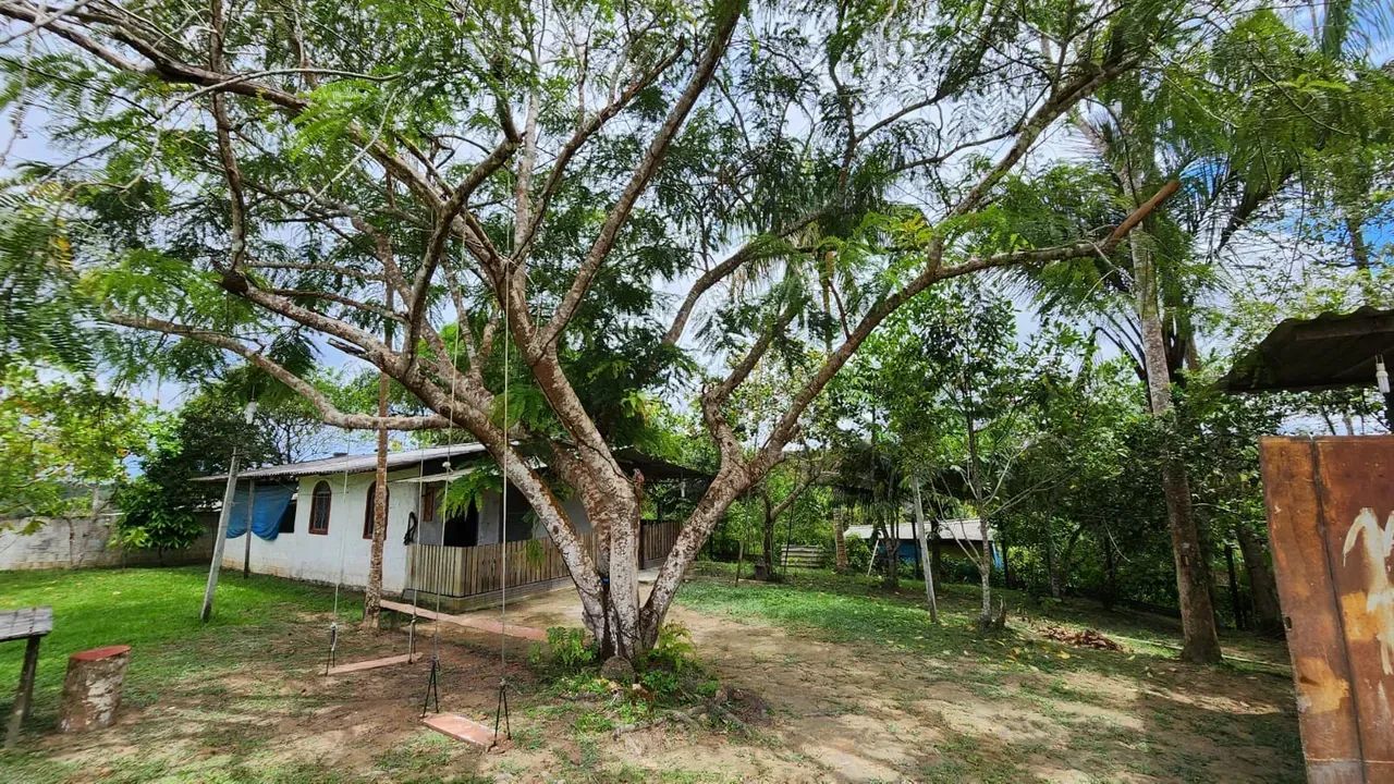 COMPRE, 12.477M² NO RAMAL DO BRASILEIRINHO - DISTRITO - Foto 3