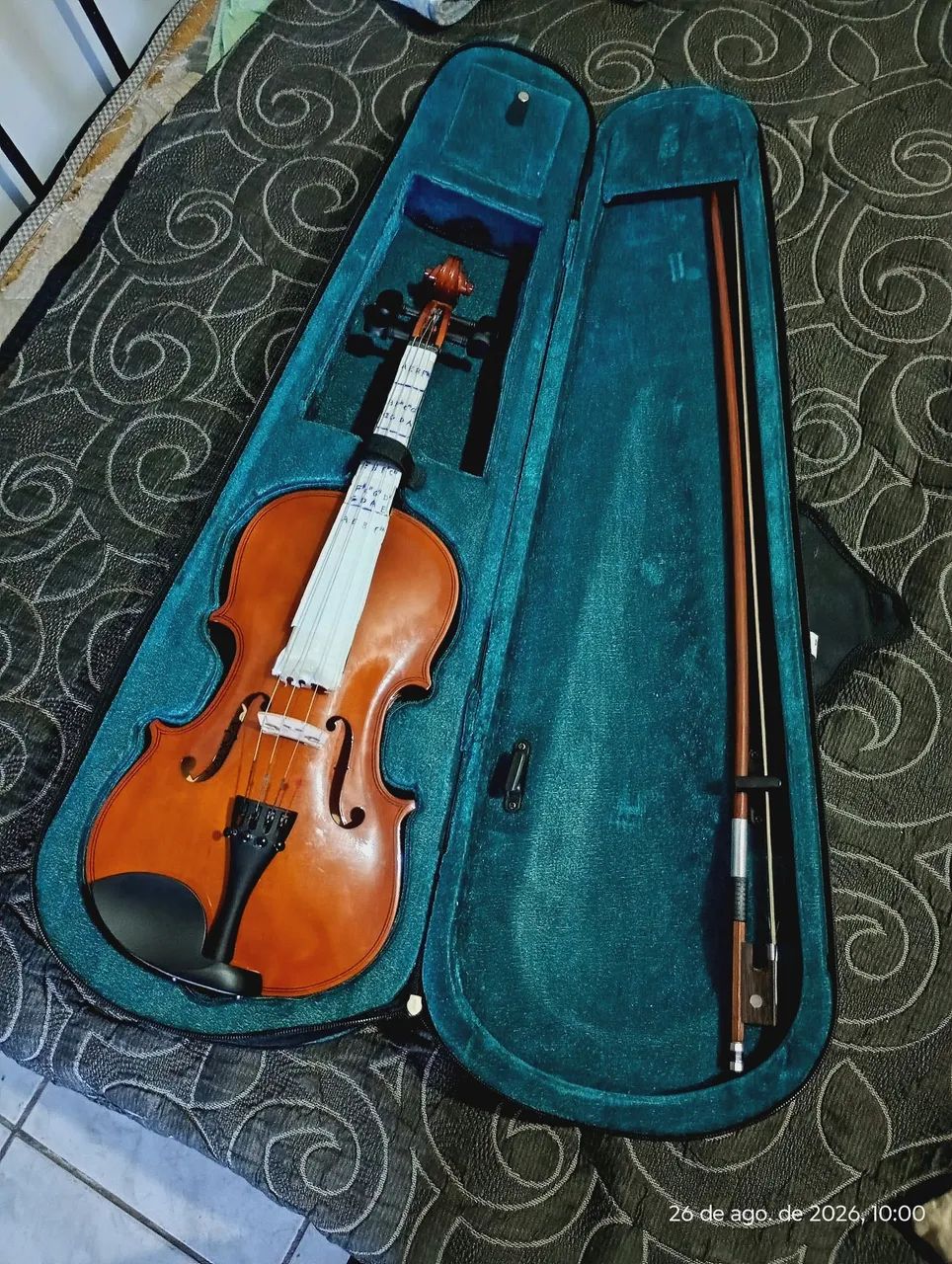 Violino