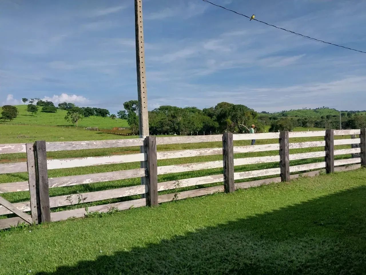 Rural - Caiapônia - GO - Foto 3