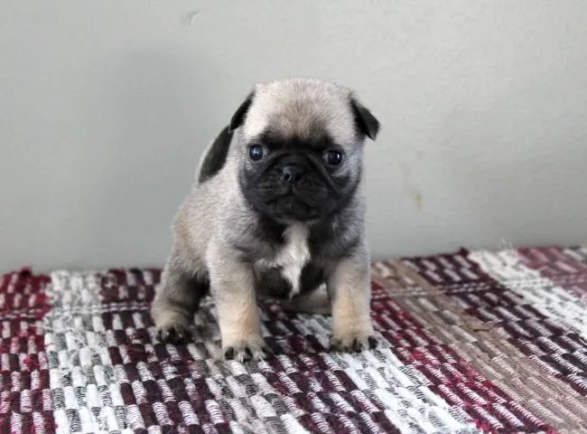 Cuidar é a forma mais bonita de amar.