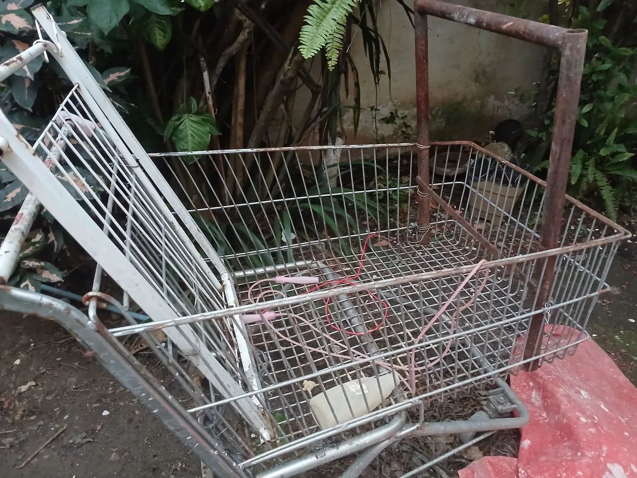Carrinho de mercado 