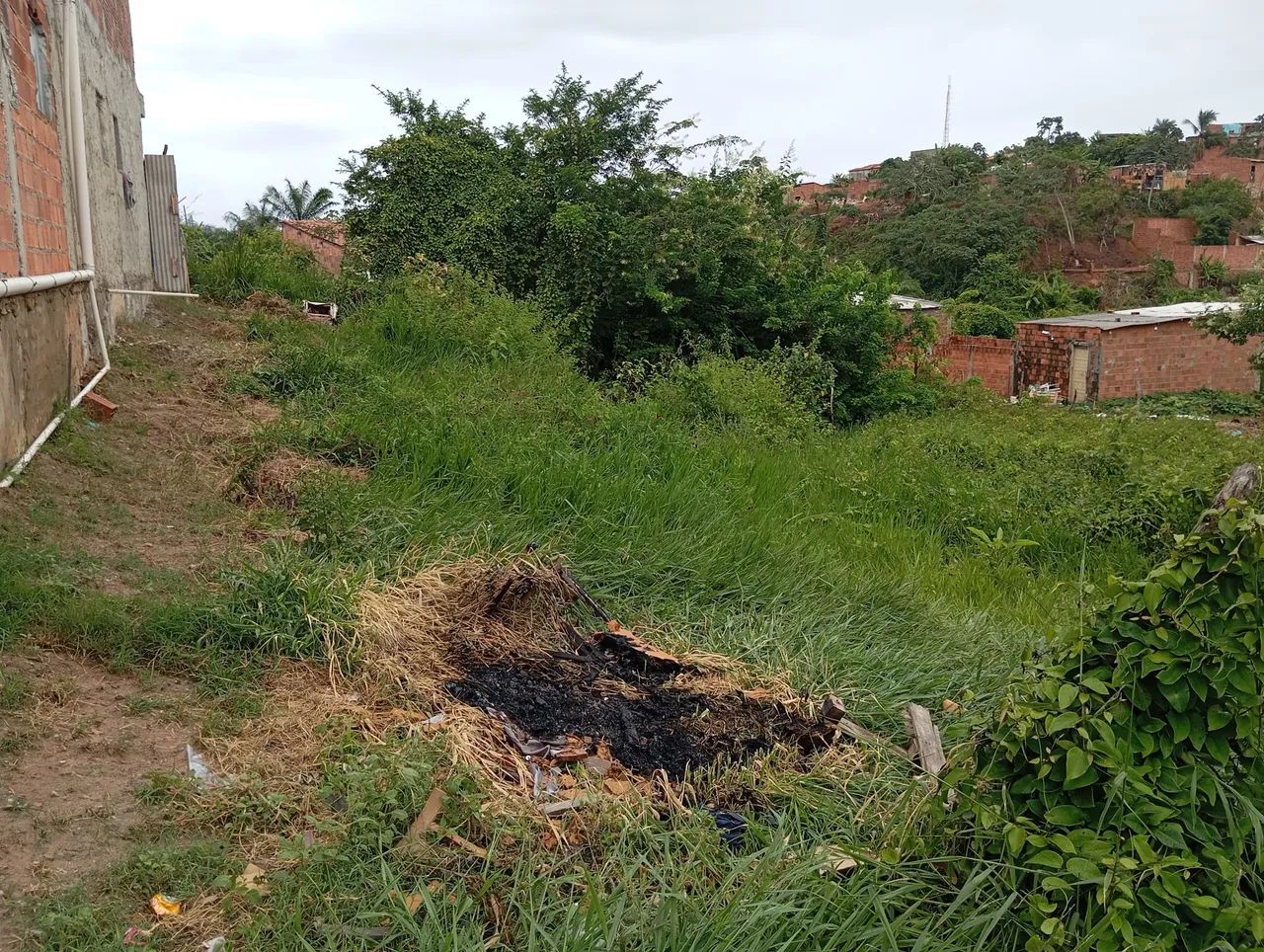 Terreno medindo 12/20
