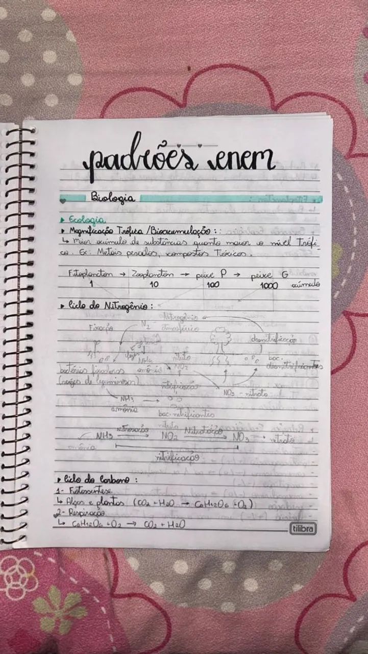 Cadernos Enem 