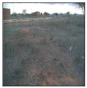 Terreno em JATAUBA - PE