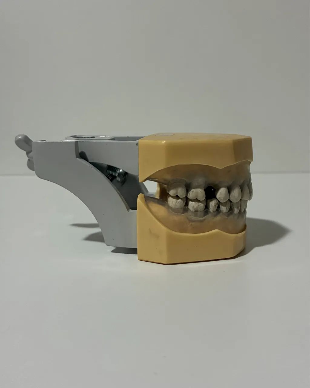 Manequim de periodontia MOM código 2040 - Foto 3