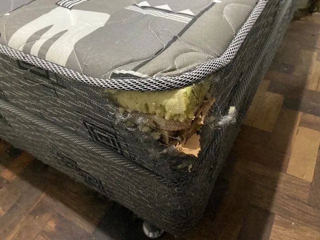 Cama Ortobom - Foto 5