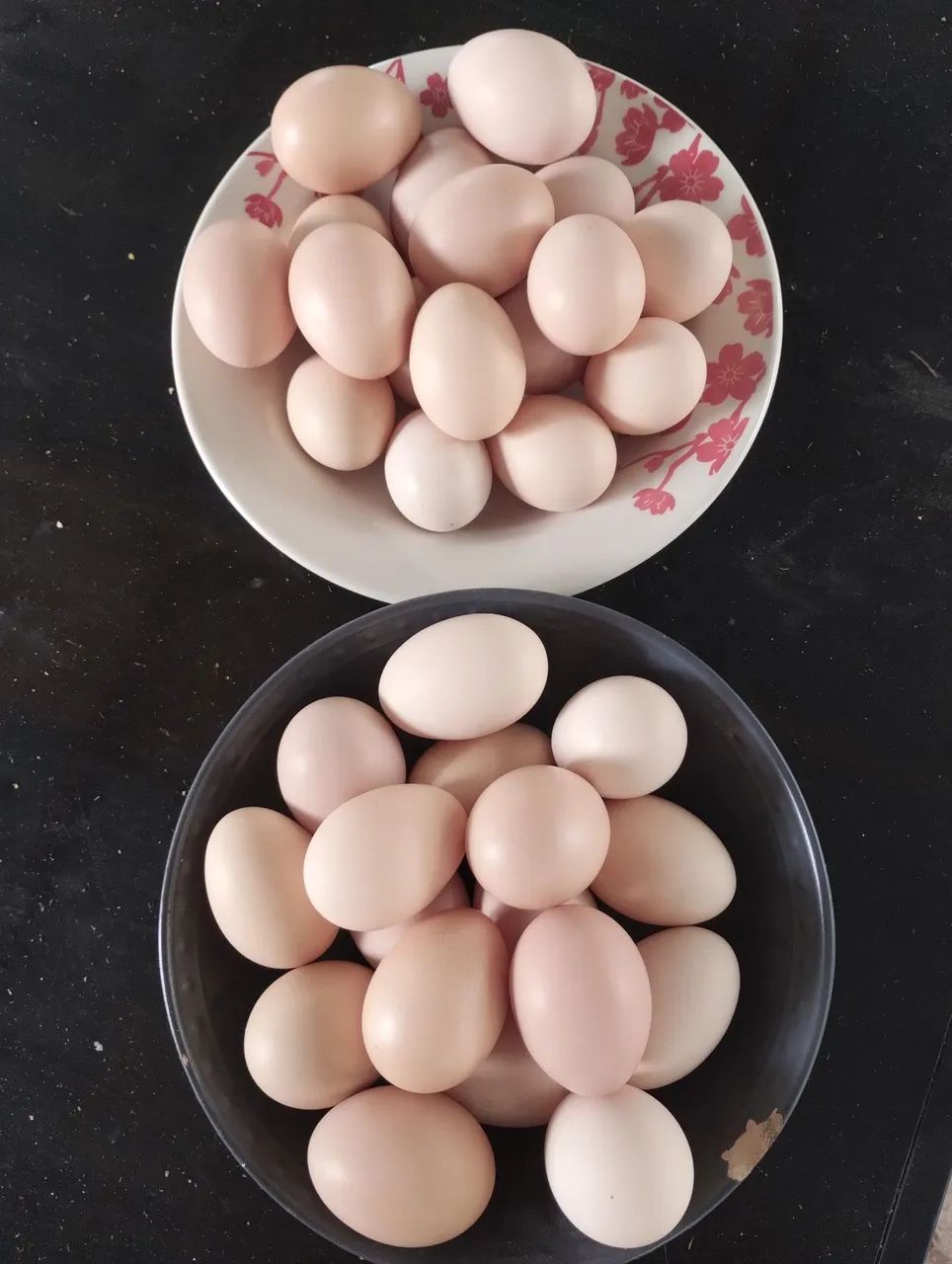 Ovos de galinha Brahma  - Foto 2