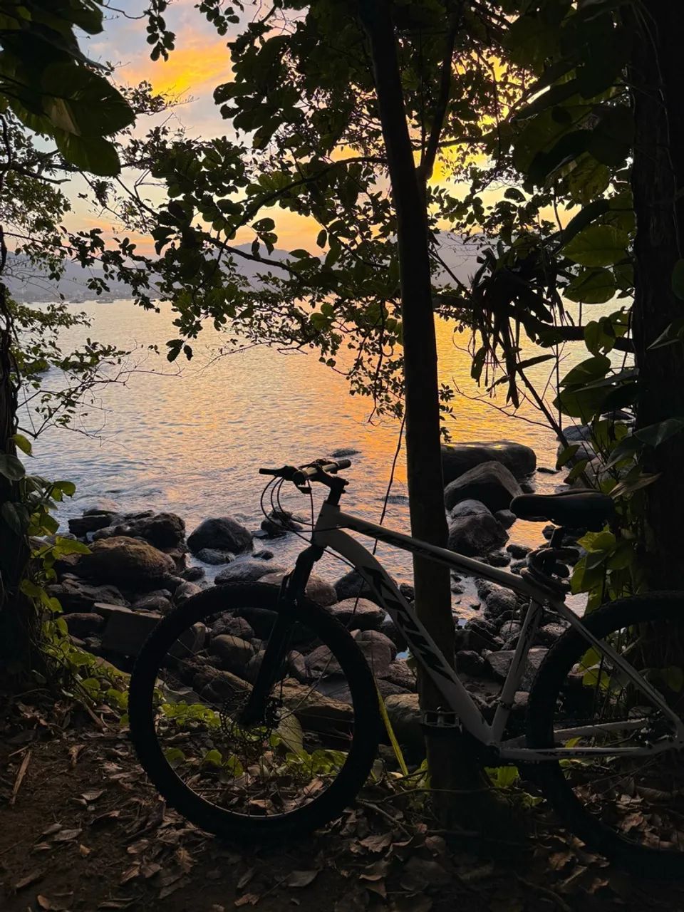 Bicicleta  - Foto 2