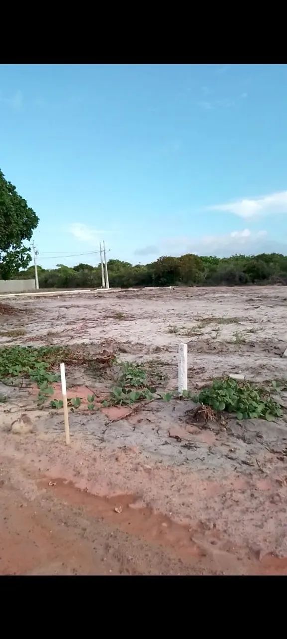 Terrenos em Lucena - Foto 4