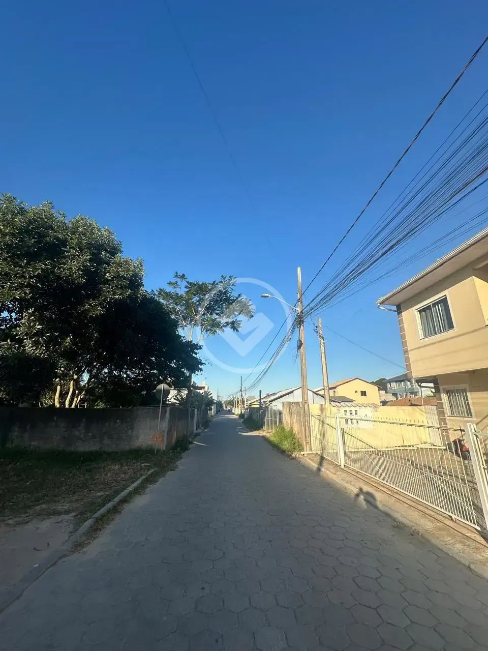 TERRENO - Ingleses do Rio Vermelho - JB-348343 - Foto 3