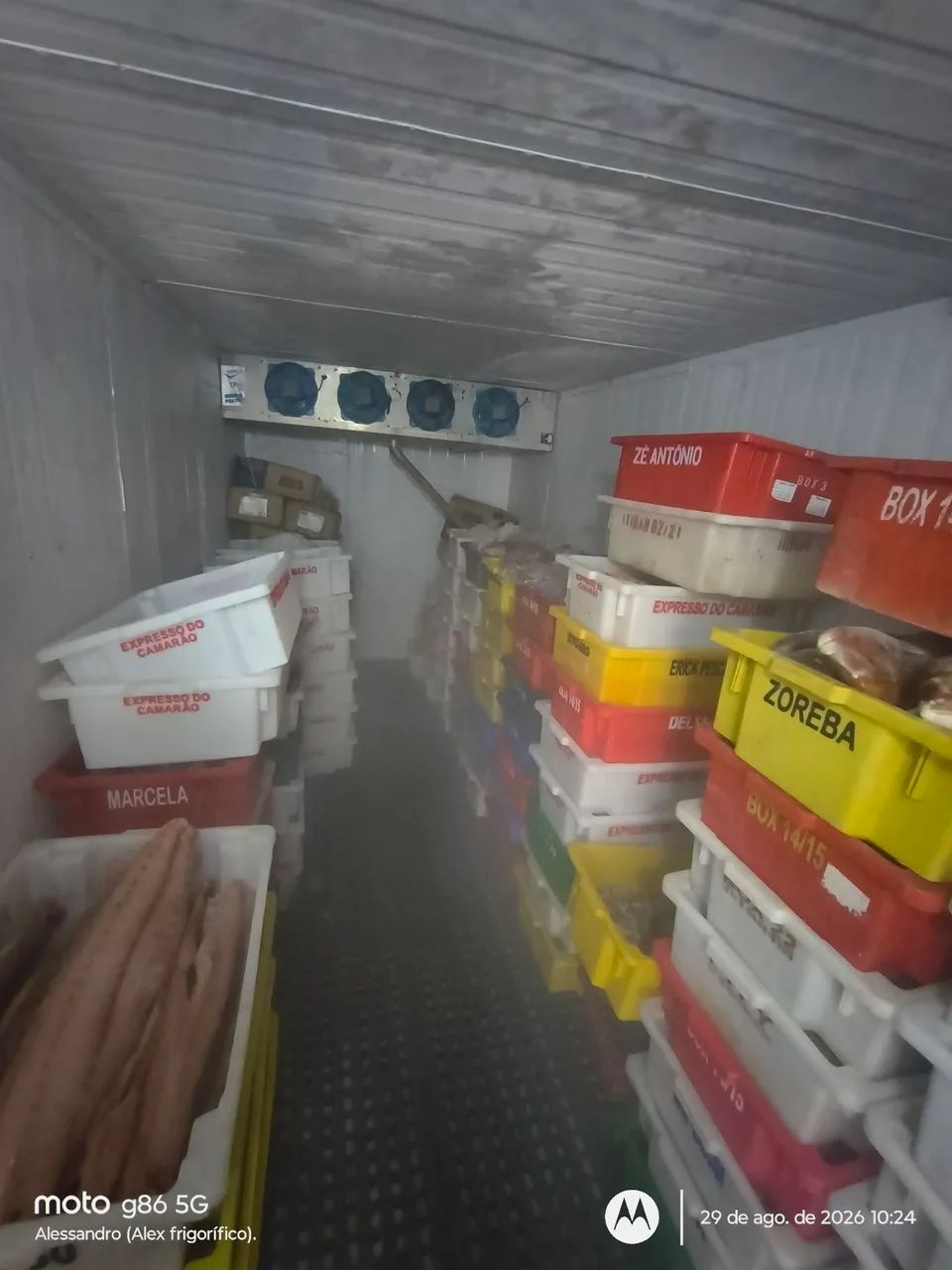 Câmara frigorífico para Peixes 