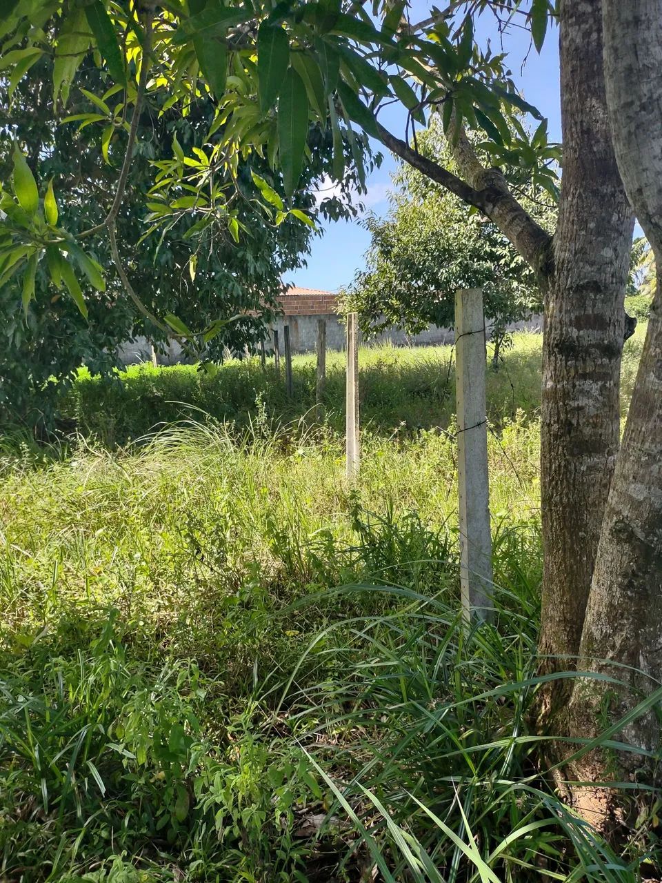 Terreno em igarassu 10 x 20  - Foto 5
