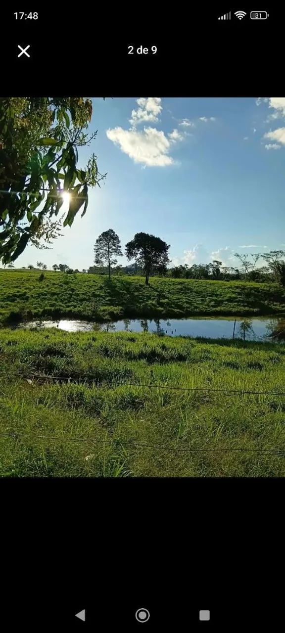vende-se Sitio  - Foto 2