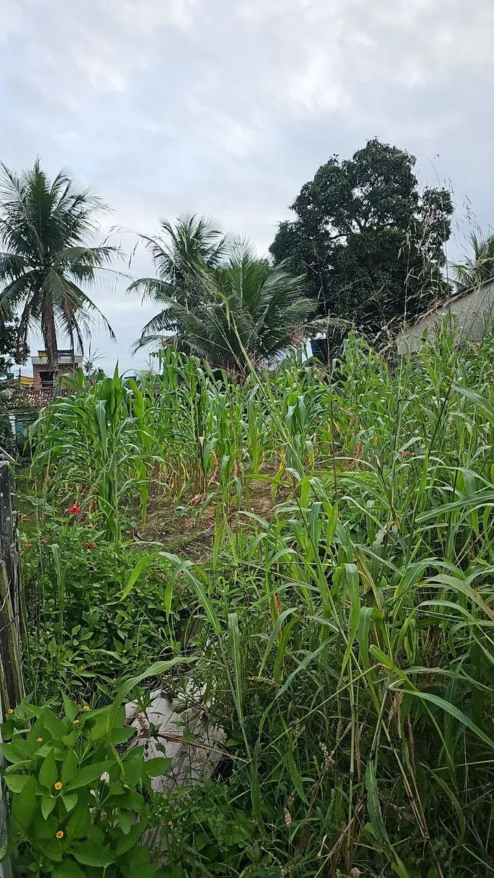 Terreno ,bairro maracujá,Escada,pe. - Foto 3