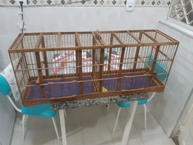 Voador de Trinca Ferro