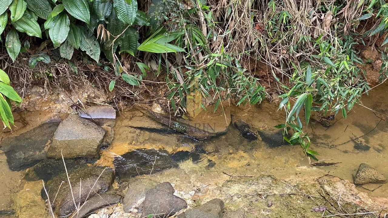 Área para gado em Luiz Alves/SC - Foto 3