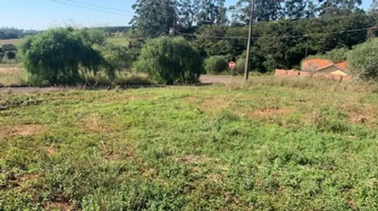 Oportunidade em Terra Roxa - Terreno 250m² - Foto 3