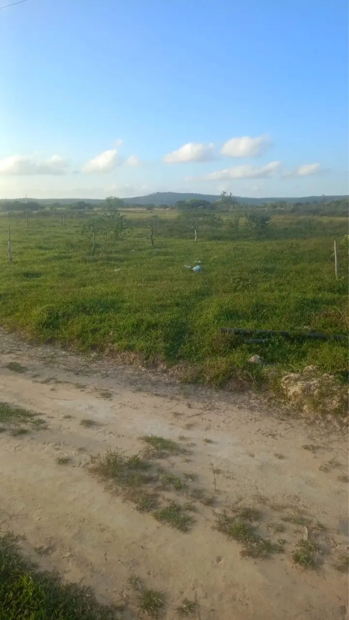 Terreno  - Foto 2