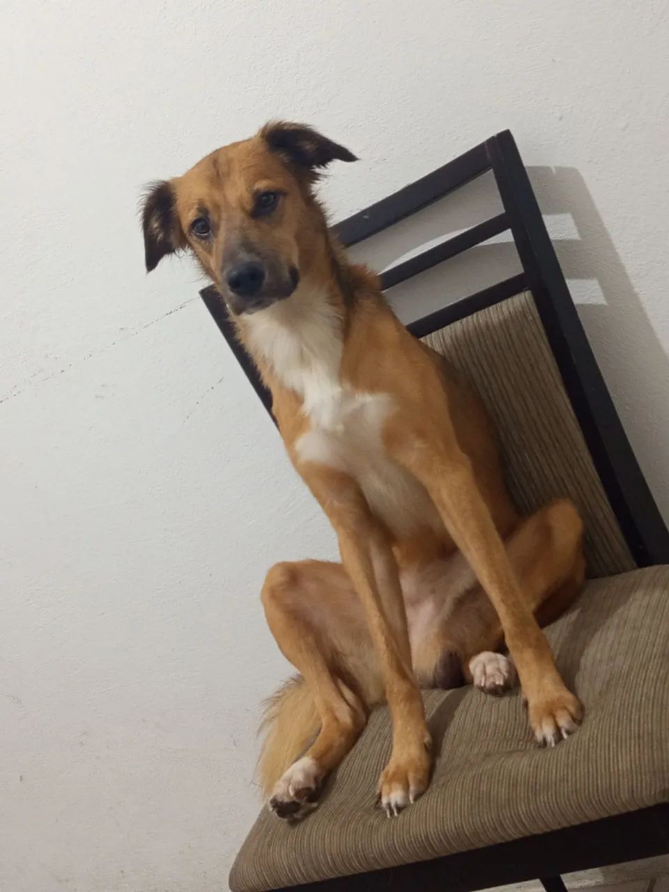 Doação responsável 