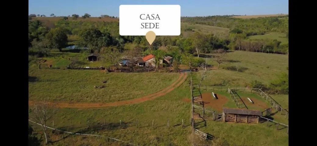 Vendo Granja em Operação Integrada MBRF - 2.400 Suínos - * - Foto 2