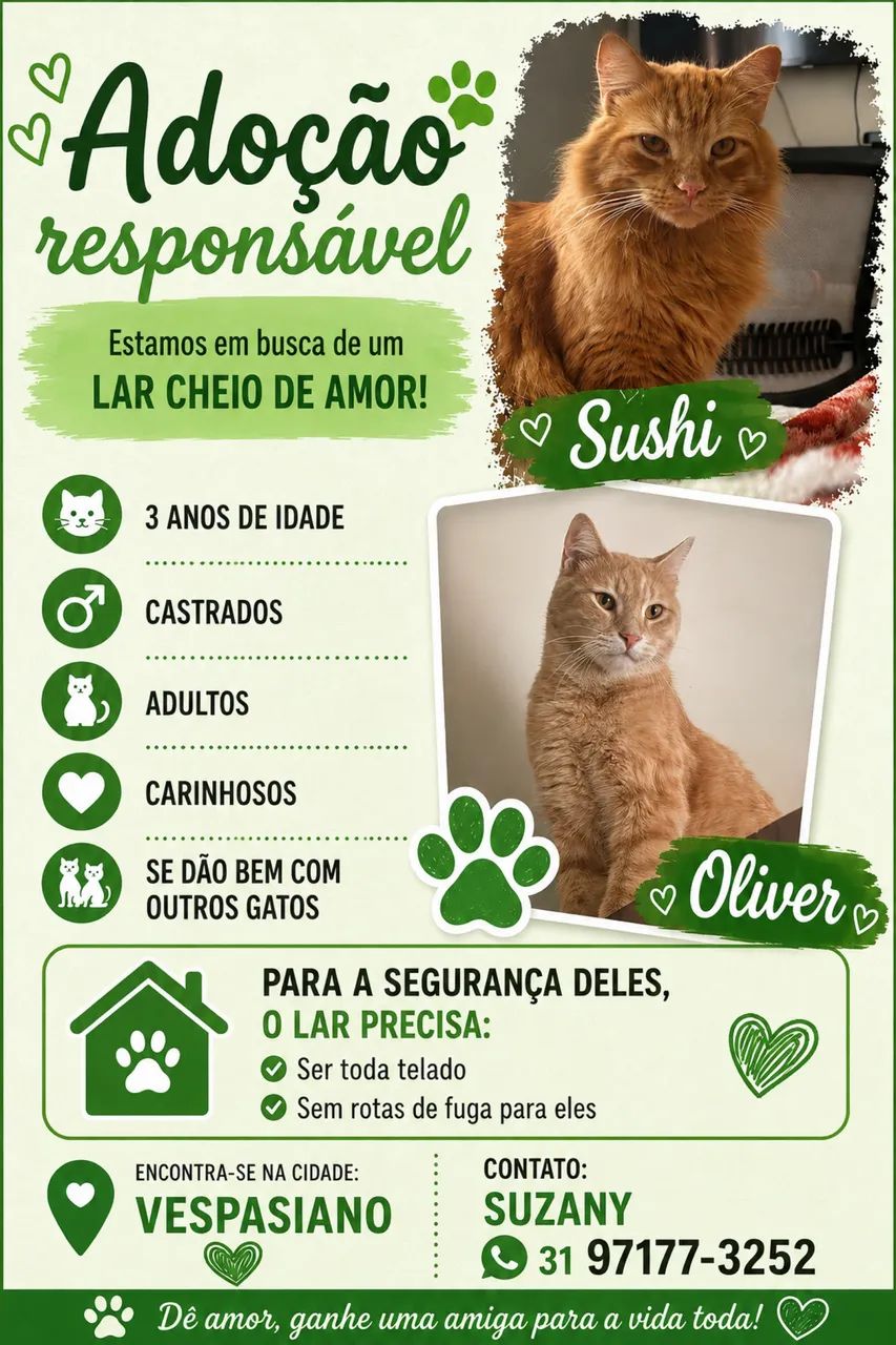 Doação GATOS