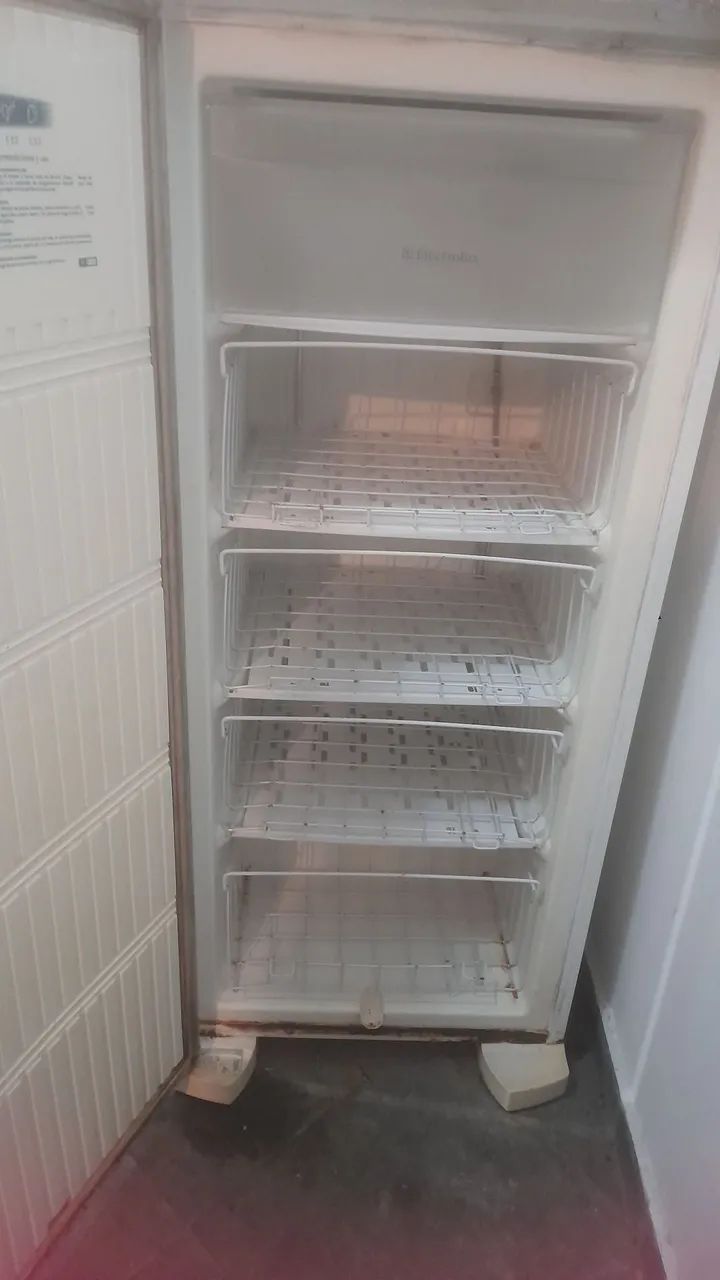 Vendo freezer marca Electrolux  - Foto 3