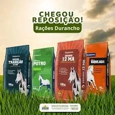 RAÇÃO CAVALO