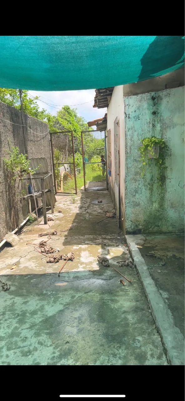Venda de casas (vila) com terreno - Foto 4
