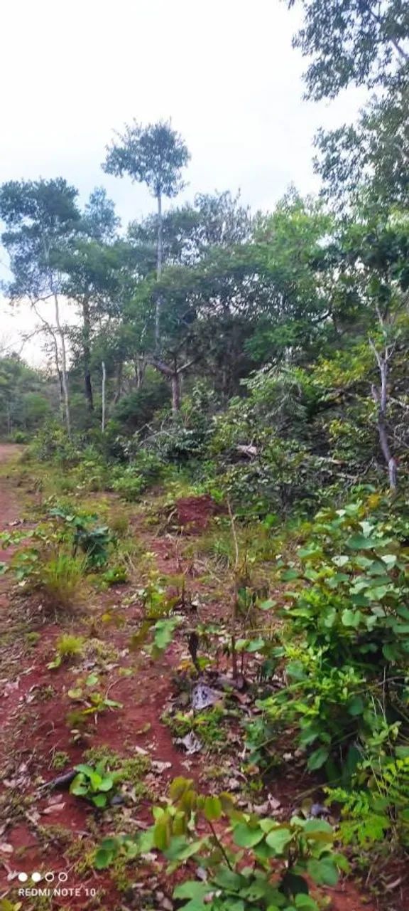 Fazenda para Venda em Monte Santo do Tocantins - Foto 5