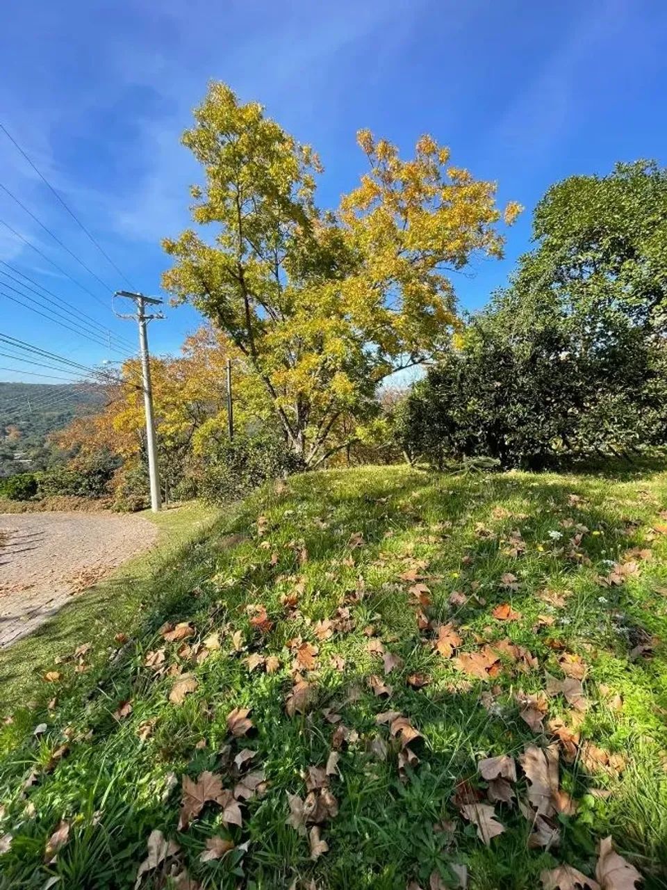 CAXIAS DO SUL - Terreno Padrão - LINHA 40 - Foto 7