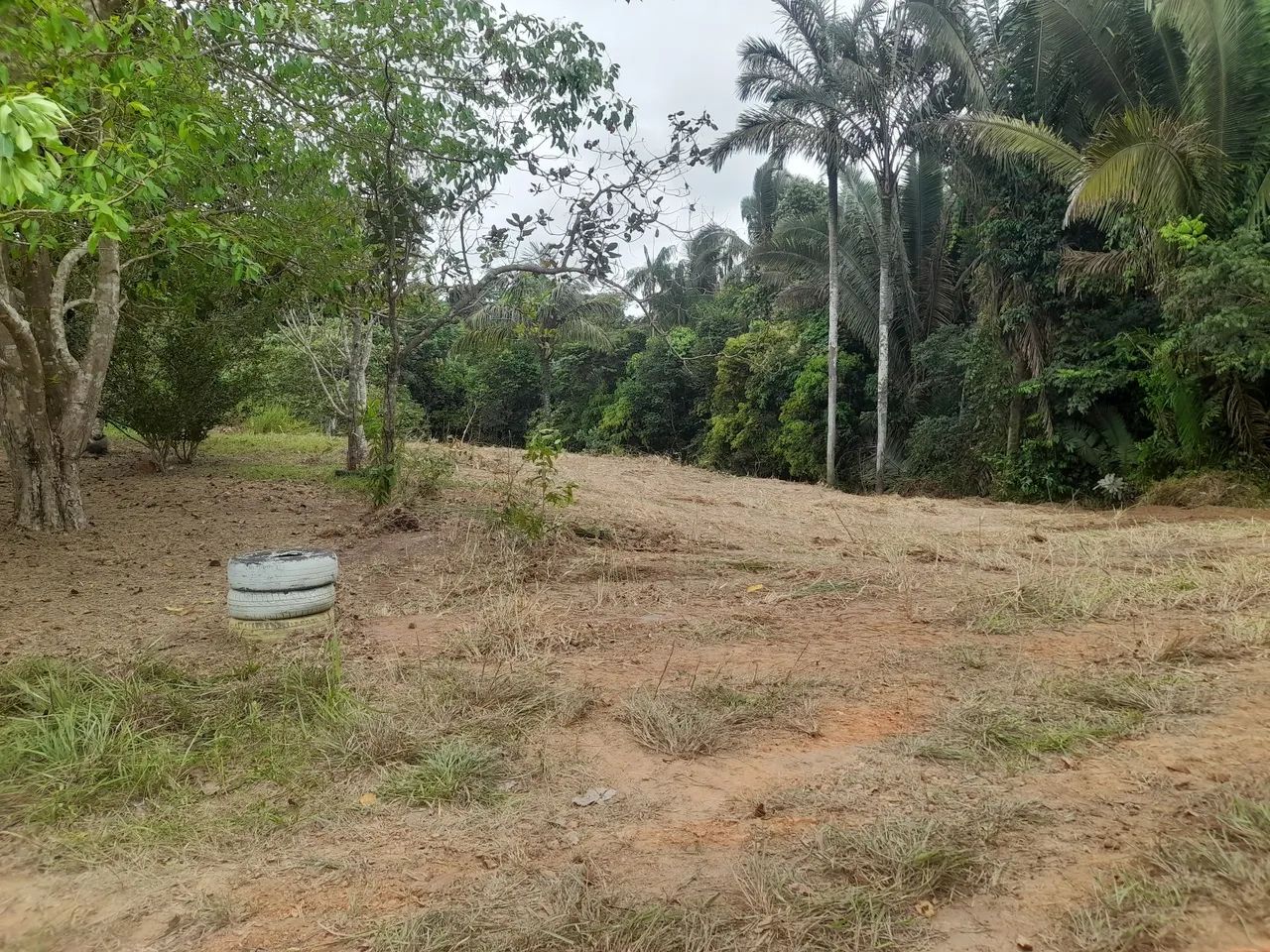 Chácara  - Foto 2