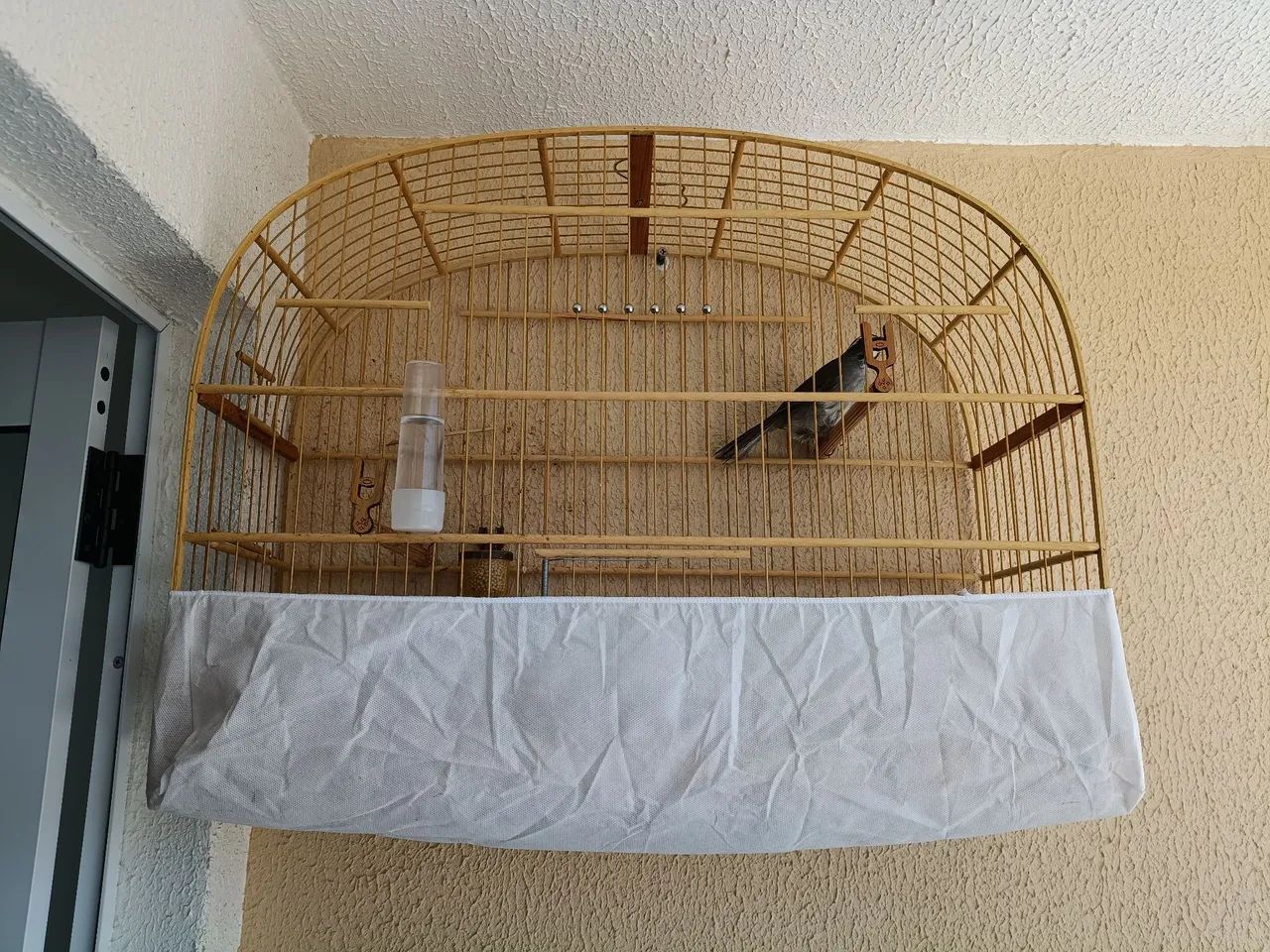 Gaiola