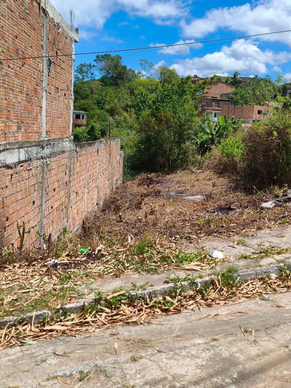 Oportunidade  - Foto 4