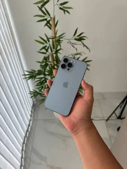 iPhone 13 Pro Max