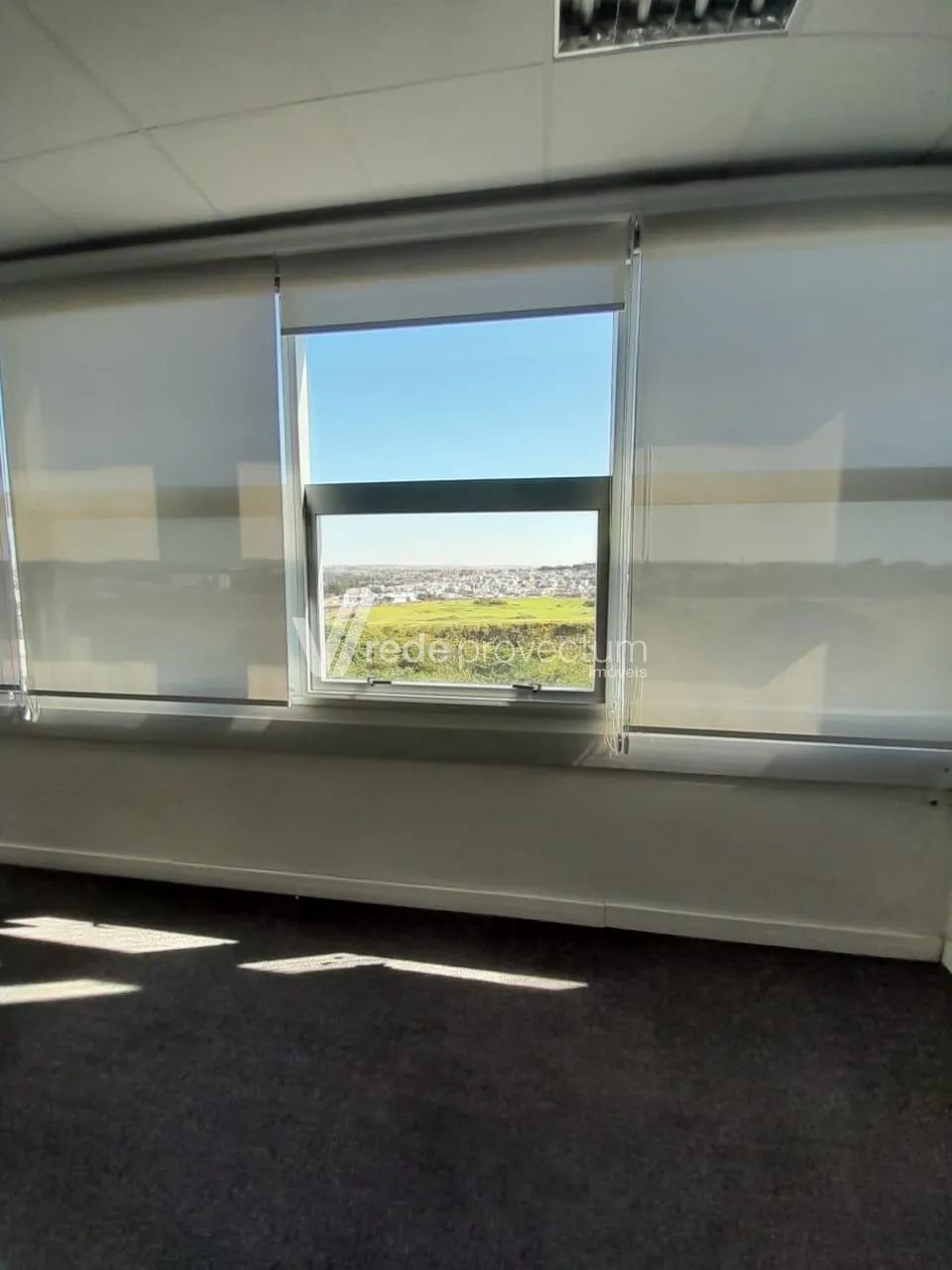 sala - Swiss Park - Campinas - Foto 4