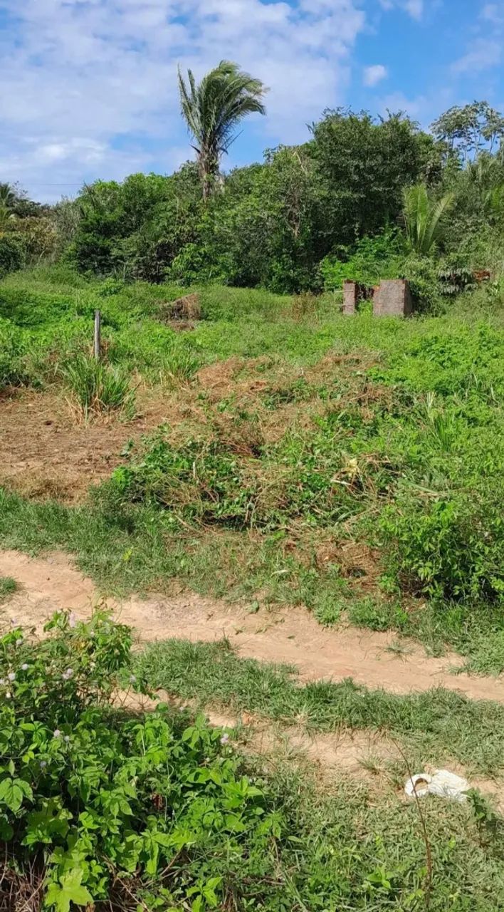 Terreno 10x30 m