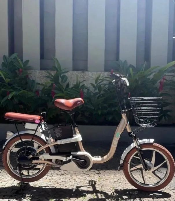 E-Bike lev dourada 