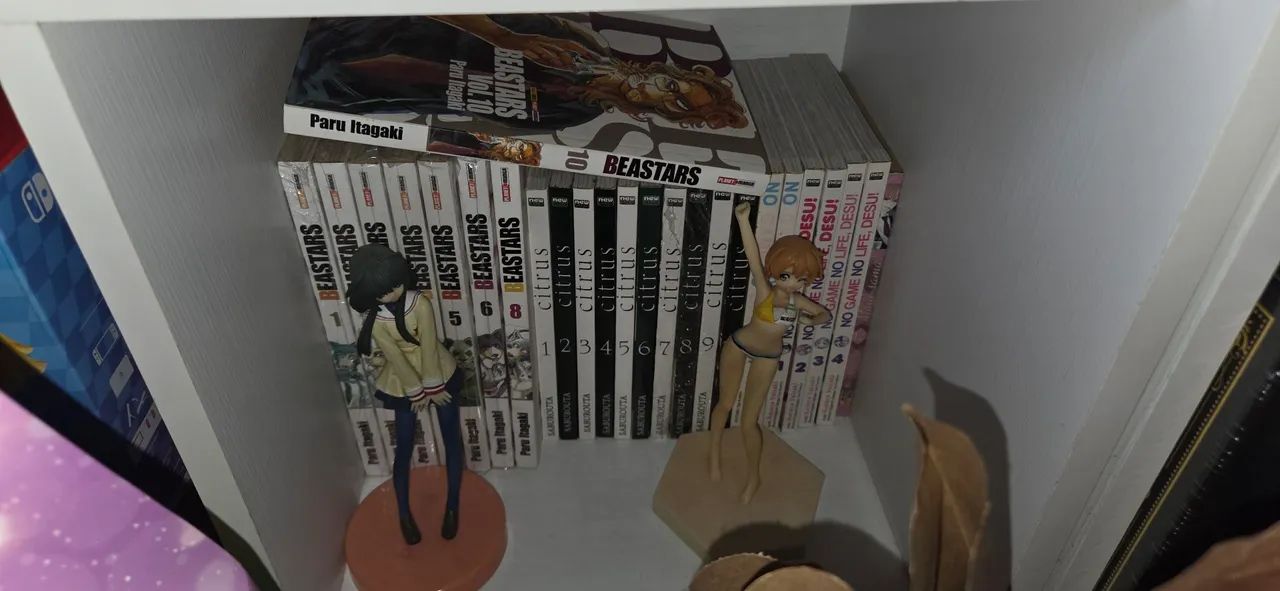 Mangás diversos - Foto 2