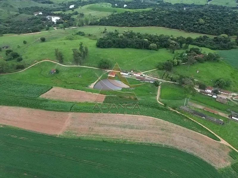 Fazenda - São José do Rio Pardo - Zona Rural - Foto 2