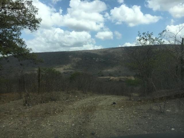 Fazenda em gravata 502 hectares, terreno amplo sen um vale com passagem de rio 8km da br23 - Foto 7