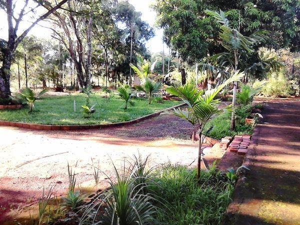 Chácara com 3 dormitórios à venda, 6000 m² - Quinta dos Sonhos - Abadia de Goiás - Foto 3