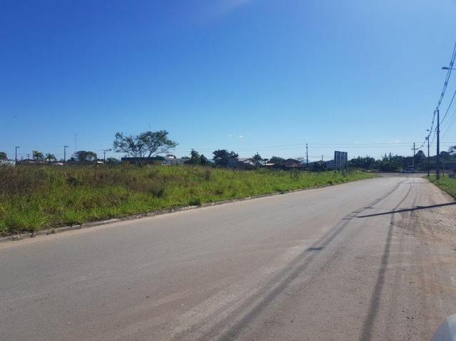 Galpão/depósito/armazém à venda em Volta redonda, Araquari cod:FT065 - Foto 2