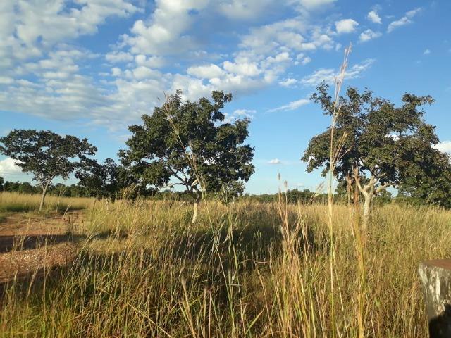 Fazenda 333 hectares para Pecuária em Livramento - Foto 18