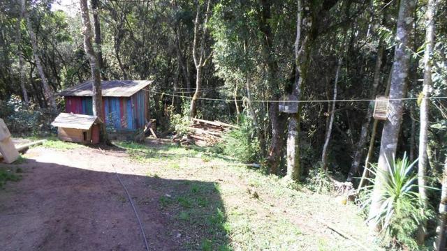 REF ? 2404 - Chácara com 2,400 m² localizada no capinzal com 3 nascente - Foto 3