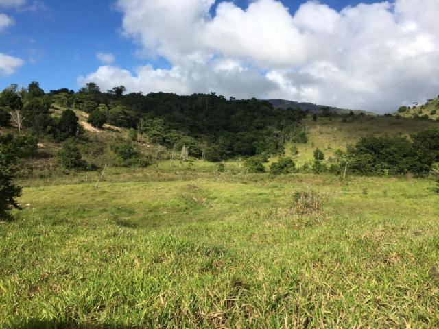 Fazenda - Centro Guaratinga - Foto 7