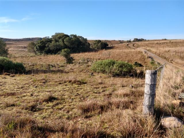 Área de terras com 22,24 hectares própria para cultura - Foto 2