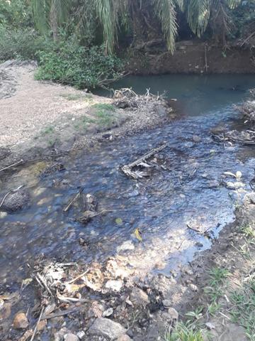 Fazenda 333 hectares para Pecuária em Livramento - Foto 12