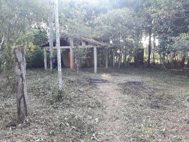 Terreno Benevides - Foto 4