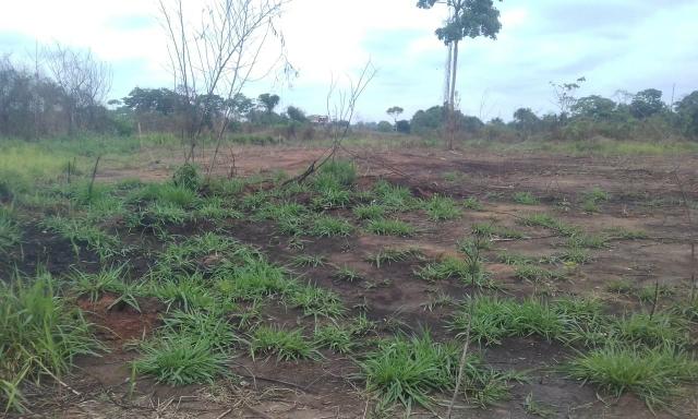 Terreno - Foto 2