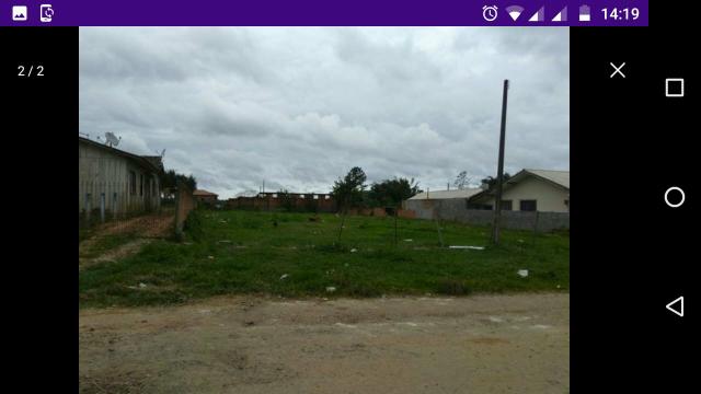 Aluga-se Terreno Paranaguamirim - Foto 2